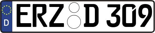 ERZ-D309