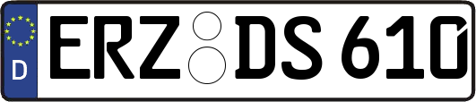 ERZ-DS610