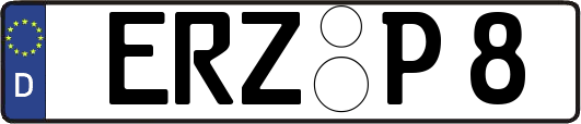 ERZ-P8