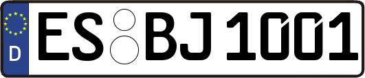 ES-BJ1001