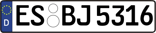 ES-BJ5316