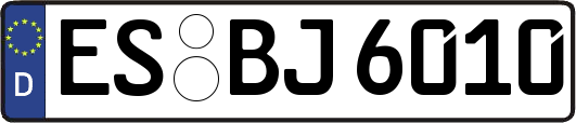 ES-BJ6010