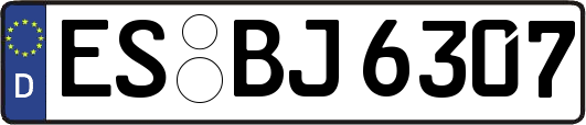 ES-BJ6307