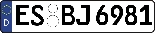 ES-BJ6981