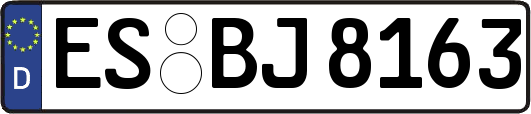 ES-BJ8163
