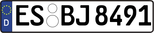 ES-BJ8491
