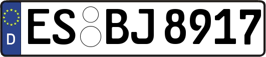 ES-BJ8917
