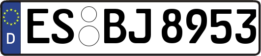 ES-BJ8953