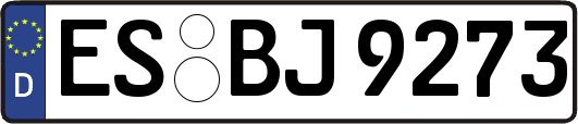 ES-BJ9273
