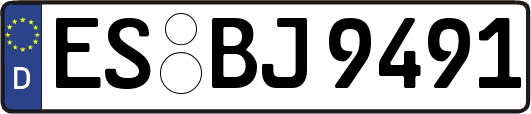 ES-BJ9491