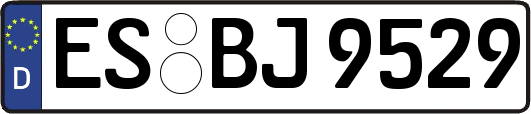 ES-BJ9529