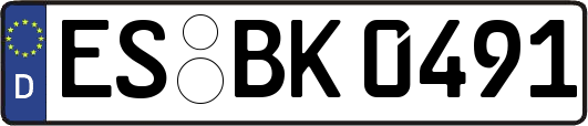 ES-BK0491