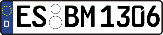 ES-BM1306