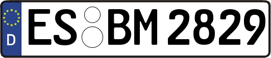 ES-BM2829