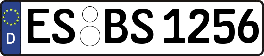 ES-BS1256