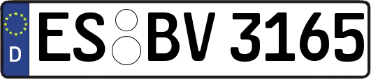 ES-BV3165