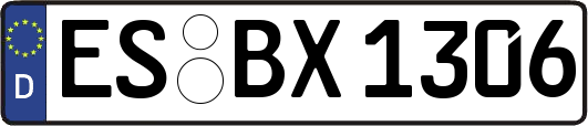 ES-BX1306