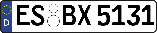 ES-BX5131