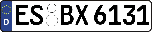 ES-BX6131