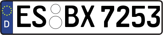 ES-BX7253