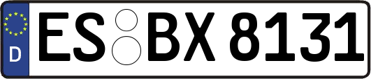 ES-BX8131