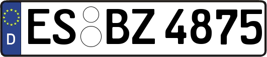ES-BZ4875