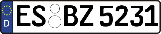 ES-BZ5231