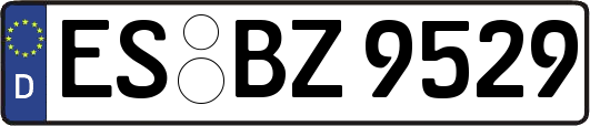 ES-BZ9529