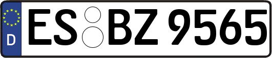 ES-BZ9565