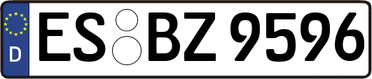 ES-BZ9596