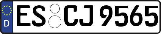 ES-CJ9565