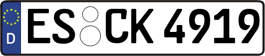 ES-CK4919