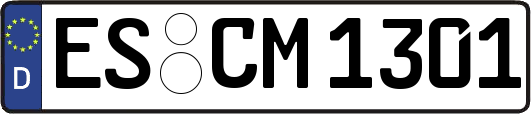 ES-CM1301