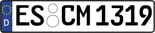 ES-CM1319