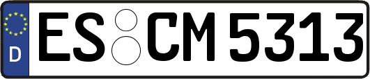 ES-CM5313