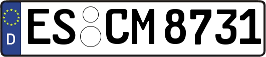 ES-CM8731