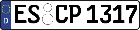 ES-CP1317