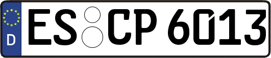 ES-CP6013