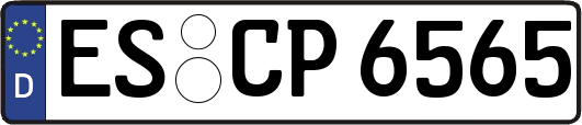 ES-CP6565