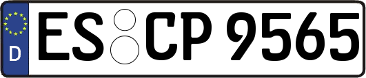 ES-CP9565