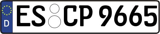 ES-CP9665