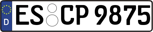 ES-CP9875
