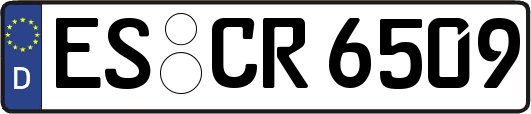 ES-CR6509