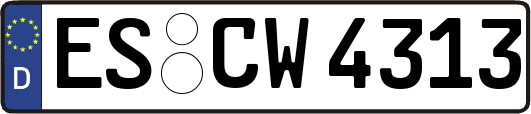 ES-CW4313