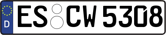 ES-CW5308