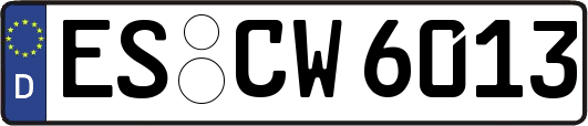 ES-CW6013
