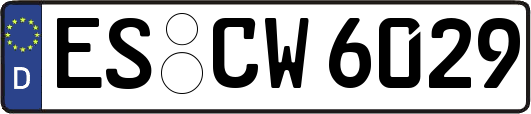 ES-CW6029