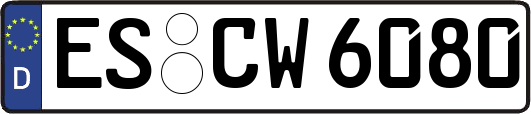 ES-CW6080