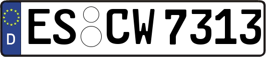 ES-CW7313
