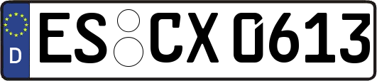 ES-CX0613
